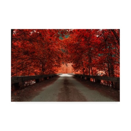 Vladimir Kostk 'The Red Bridge Autumn' Canvas Art,12x19